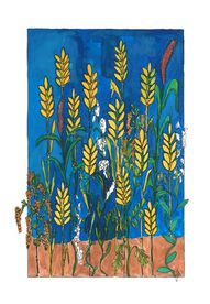 O pleveli a pšenici - Plevel mezi pšenicí